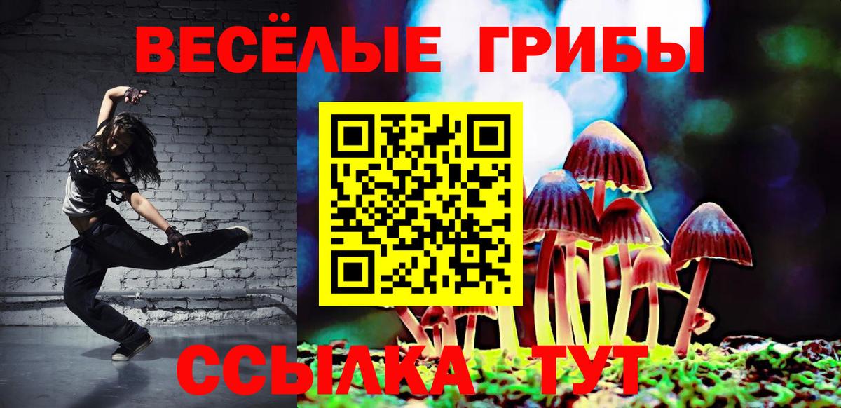 где продают наркотики  Галлюциногенные грибы ЛСД  Галлюциногенные грибы Psilocybe  Вход с VPN  Вышний Волочёк 